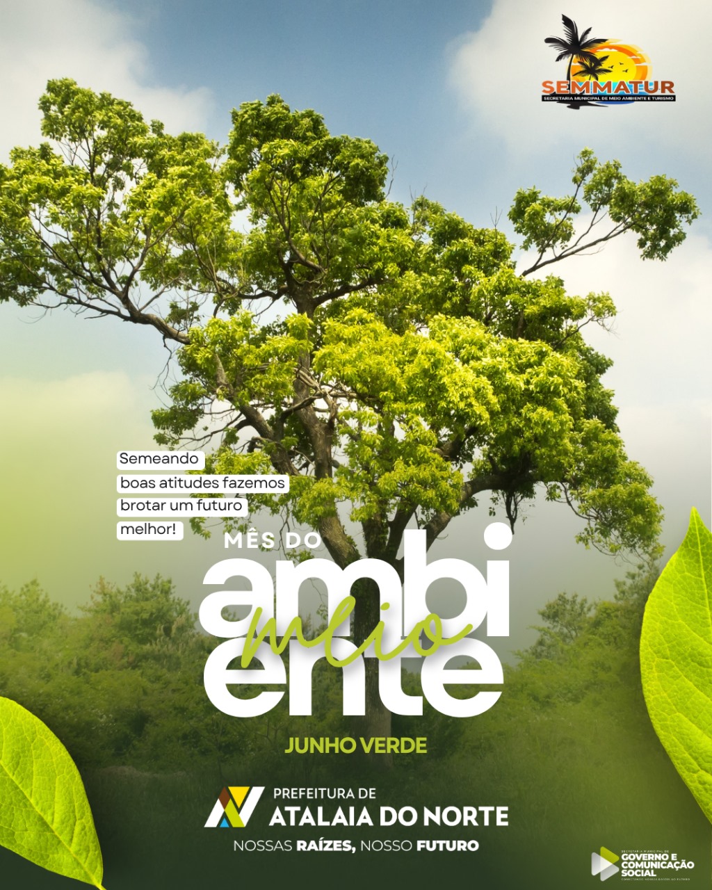Junho Verde: Mês de Conscientização do Meio Ambiente